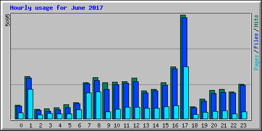 Hourly usage for June 2017