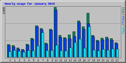 Hourly usage for January 2019