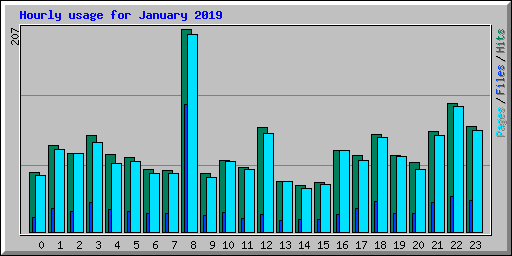 Hourly usage for January 2019