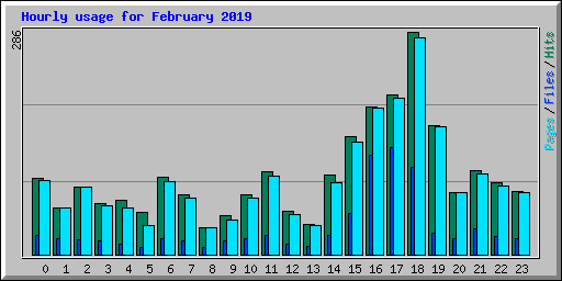 Hourly usage for February 2019