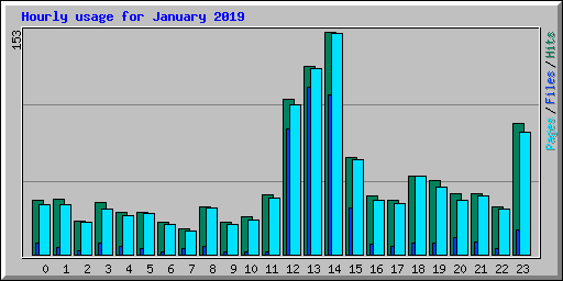 Hourly usage for January 2019