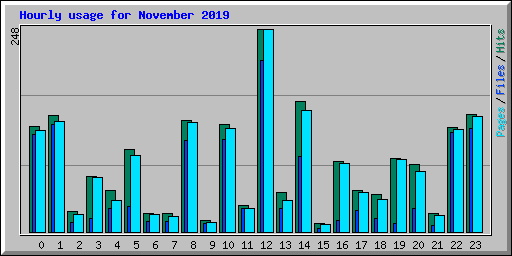 Hourly usage for November 2019