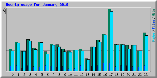 Hourly usage for January 2019