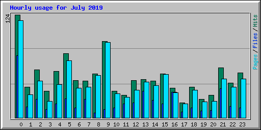 Hourly usage for July 2019