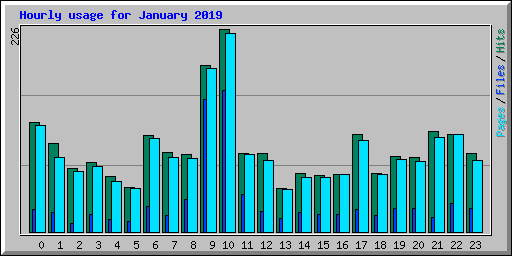 Hourly usage for January 2019